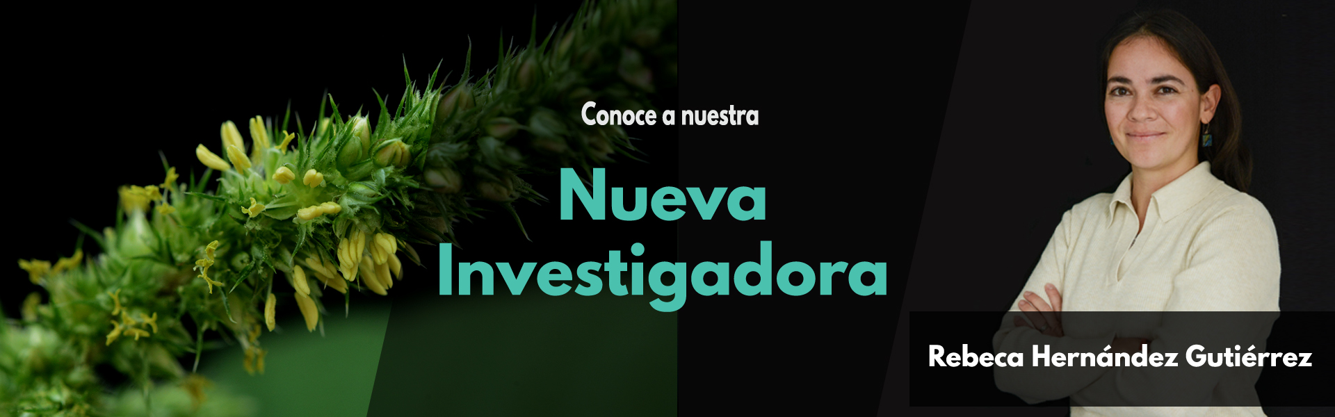 Nueva Investigadora