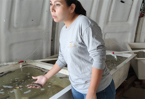 Aprovechamiento de los Recursos del Mar