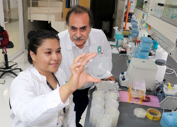 Alfredo Herrera Estrella es reconocido internacionalmente por su trayectoria científica