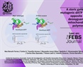 A steric gate prevents mutagenic dATP incorporation opposite 8-oxo-deoxyguanosine in mitochondrial DNA polymerases