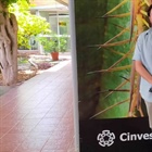 ¿Qué es el CINVESTAV?