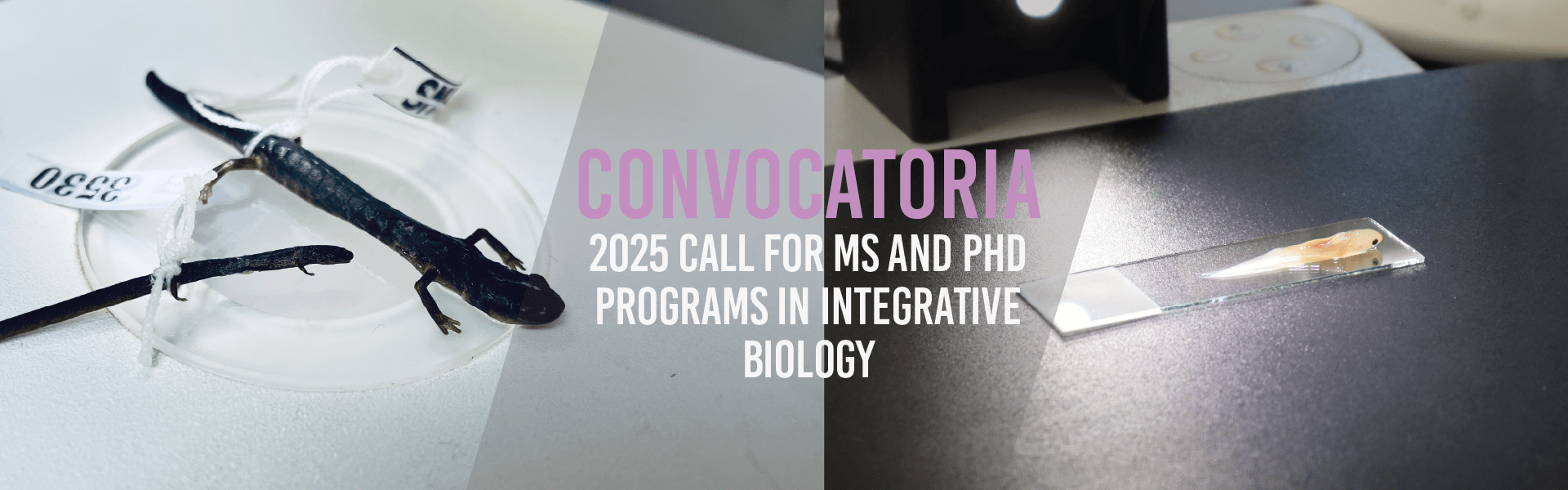 2025 Call for MS and PhD Programs in Integrative Biology