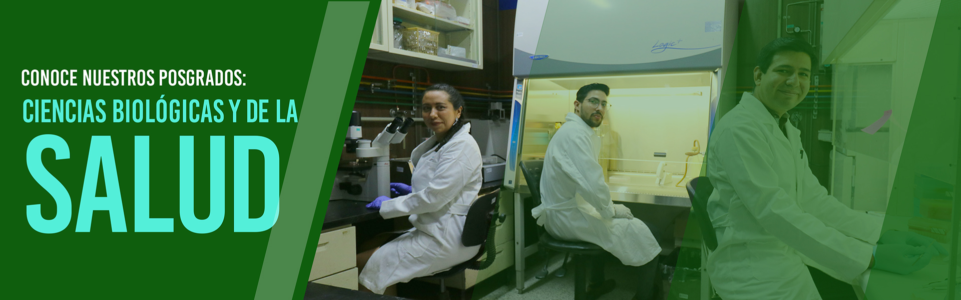 Ciencias Biológicas y de la Salud