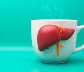 El café y la salud del hígado