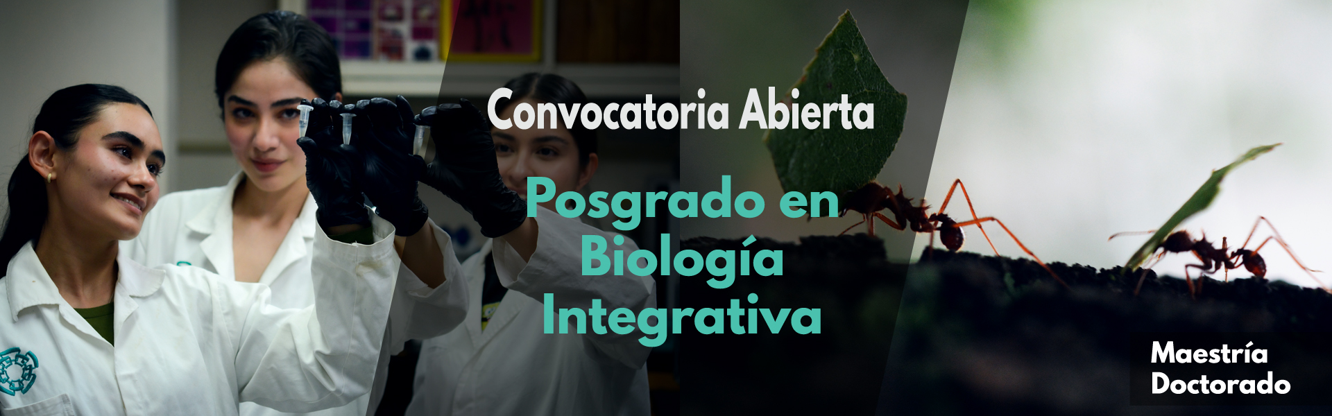 Convocatoria 2025 del posgrado en Biología Integrativa Cinvestav Irapuato