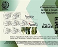 Comparative mutant analyses reveal a novel mechanism of ARF regulation in land plants