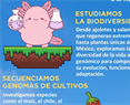 Día de la tierra