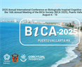 BICA2025