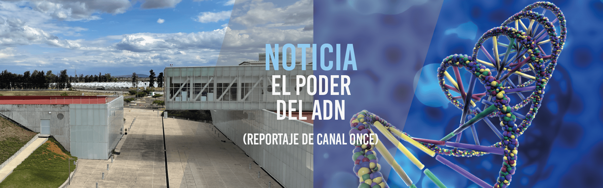 El poder del ADN