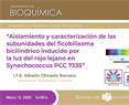 I.F.B. Alberto Olmedo Romero