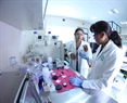 FTIR