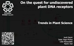 On the quest for undiscovered plant DNA receptors