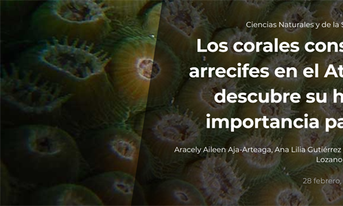 Los corales contructores de arrecifes en el Atlántico oeste