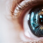 Los ojos son la ventana al cerebro: predicción de enfermedades cerebrovasculares con imágenes de la retina