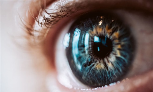 Los ojos son la ventana al cerebro: predicción de enfermedades...