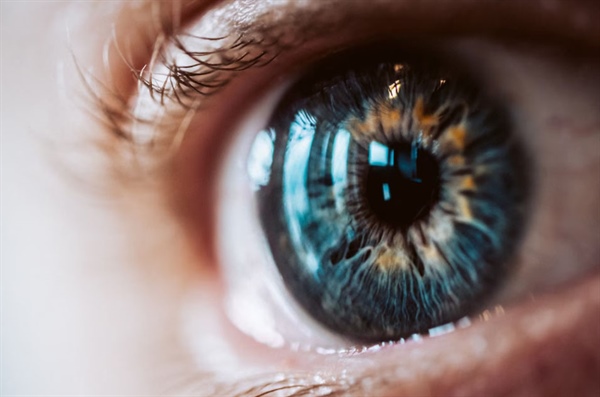 Los ojos son la ventana al cerebro: predicción de enfermedades cerebrovasculares con imágenes de la retina