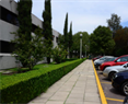 Banner-IE-Secciones