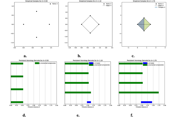 Topological data analysis captures horizontal gene transfer in antimicrobial resistance gene families among clinically relevant bacteria
