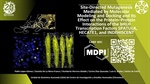 Site-Directed Mutagenesis Mediated by Molecular Modeling and Docking and Its Effect on the Protein–Protein Interactions of the bHLH Transcription Factors SPATULA, HECATE1, and INDEHISCENT