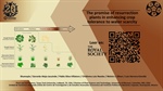 The promise of resurrection plants in enhancing crop tolerance to water scarcity