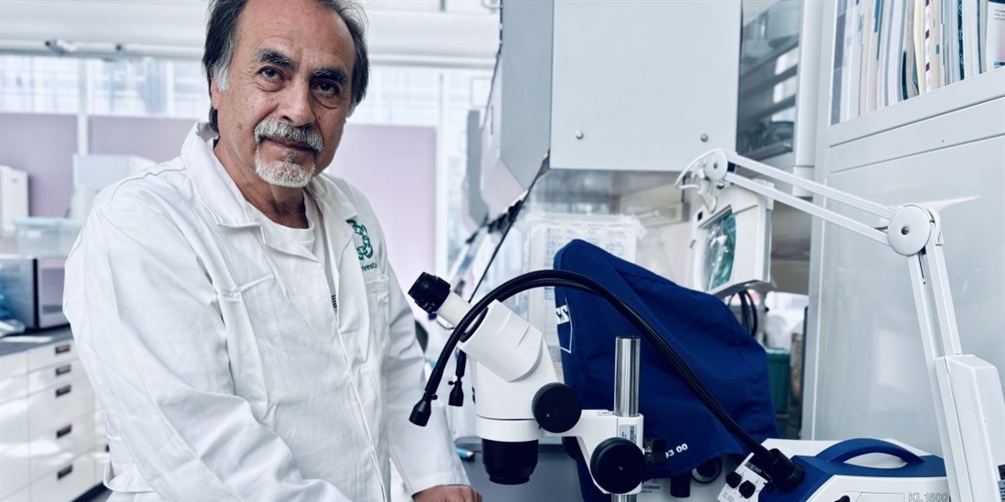Alfredo Herrera, doctor del Cinvestav, destaca por cuarto año en...