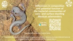 Differences in composition and potential function of the bacterial communities of cave- and surface-dwelling Mexican salamanders