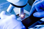 Microscopía