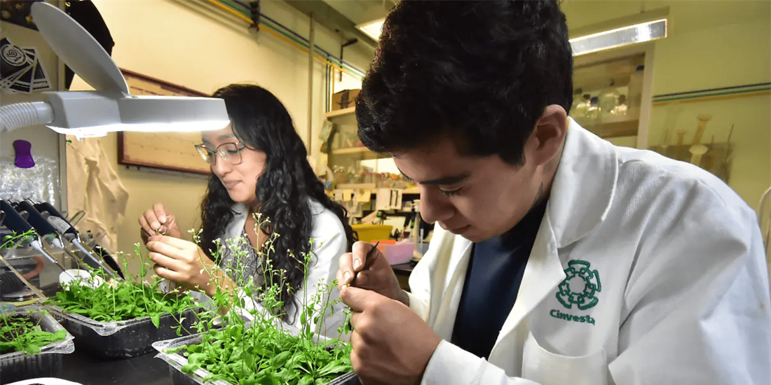 Abre UGA Langebio y el CINVESTAV sus puertas a estudiantes