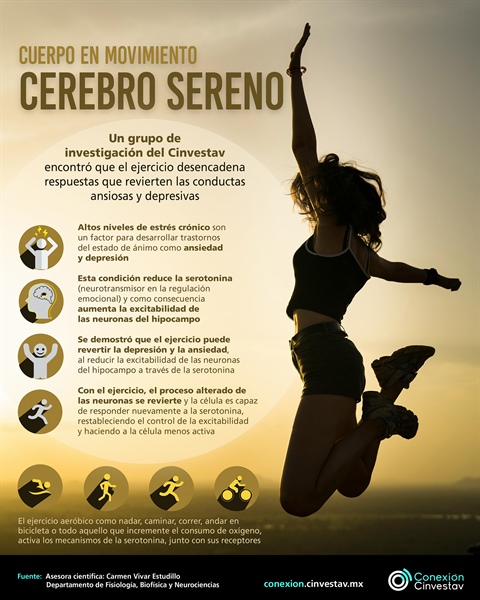 Cuerpo en movimiento, cerebro sereno