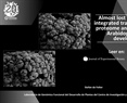 Almost lost in translation: integrated transcriptome and proteome analyses for early Arabidopsis flower development