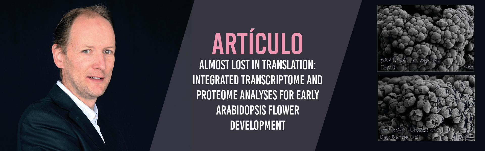 Almost lost in translation: integrated transcriptome and proteome analyses for early Arabidopsis flower development