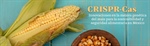 CRISPR-Cas: Innovaciones en la...