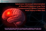 Dra. Luisa Rocha - Subchronic Intranasal Administration of NeuroEPO Reduces Long-Term Consequences of Severe Traumatic Brain Injury in Male Rats