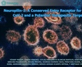 Dr. Enrique Hong - Neuropilin-1: A Conserved Entry Receptor for SARS-CoV-2 and a Potential Therapeutic Target