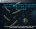 Dra. Claudia González - Outer Membrane Vesicles from Caulobacter crescentus: A Platform for Recombinant Antigen Presentation