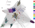 Analysis of NUDIX enzymes across fungi reveals previously unrecognized diversity