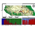 Contribution of Range-Wide and Short-Scale Chemical Soil Variation to Local Adaptation in a Tropical Montane Forest Tree