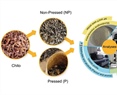 Physicochemical Properties and Volatile Profile of Chito: A Traditional Dry-Cured Goat Meat Product