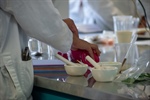 Experimentos del taller de Ciencia Viva 2025