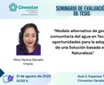 Modelo alternativo de gestión comunitaria del agua en Tecámac: oportunidades para la adopción de una solución basada en la naturaleza