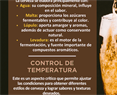 La ciencia detrás de la cerveza