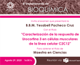 B.B.M. Yesabell Pacheco Cruz