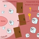 El cerebro dulce en...
