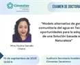 Modelo alternativo de gestión comunitaria del agua en Tecámac: oportunidades para la adopción de una Solución basada en la Naturaleza