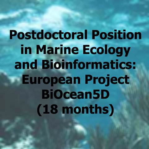 Postdoctoral Position in Marine Ecology and Bioinformatics: European Project BiOcean5D (18 months)