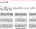 An evolutionary continuum between non-coding and coding DNA