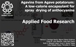 Agavins from Agave potatorum: A low-calorie encapsulant for spray drying of anthocyanins