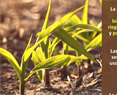 Día mundial de la Agricultura
