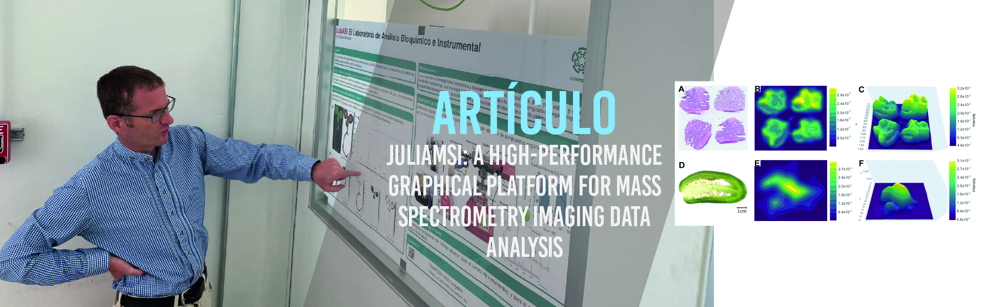 JuliaMSI: A high-performance graphical platform for mass spectrometry imaging data analysis
