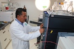 Desarrolla Cinvestav nueva metodología para identificar origen de la vainilla